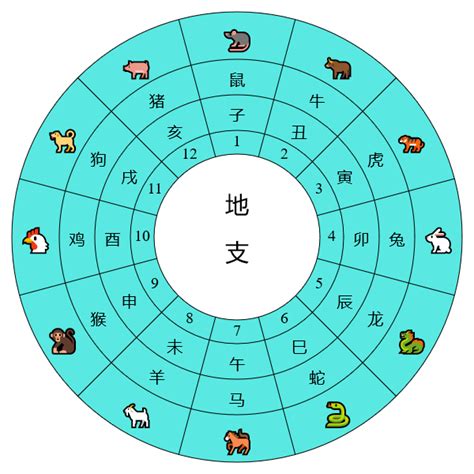 天干地支時間對照表|《天干地支》對照表及運用方法